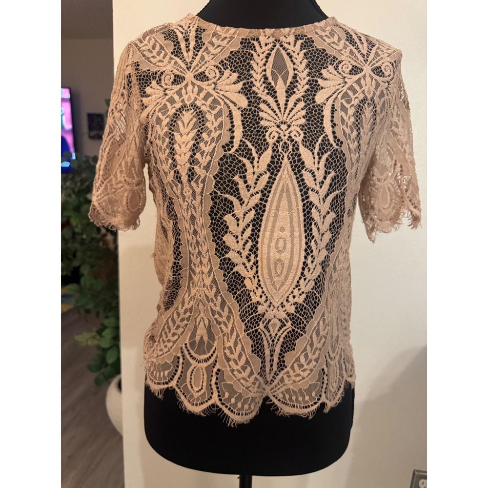 Zara Tan Nude Lace Short Sleeve Top Sheer Keyhole Back Scalloped Hem Small